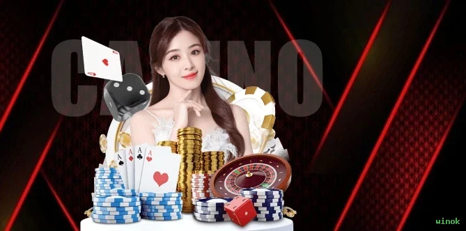 Programa VIP exclusivo da winok